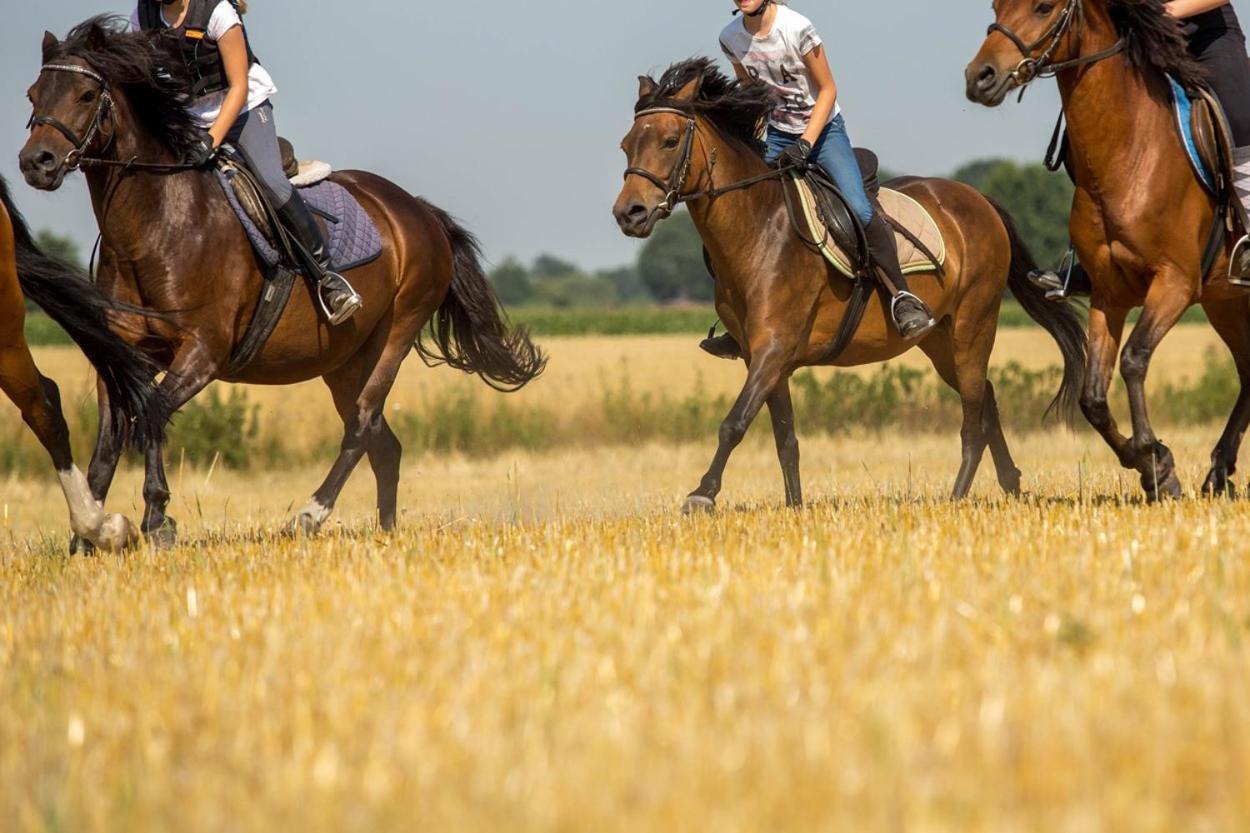 Ferienwohnungen Georgenbruch Everswinkel Exteriör bild