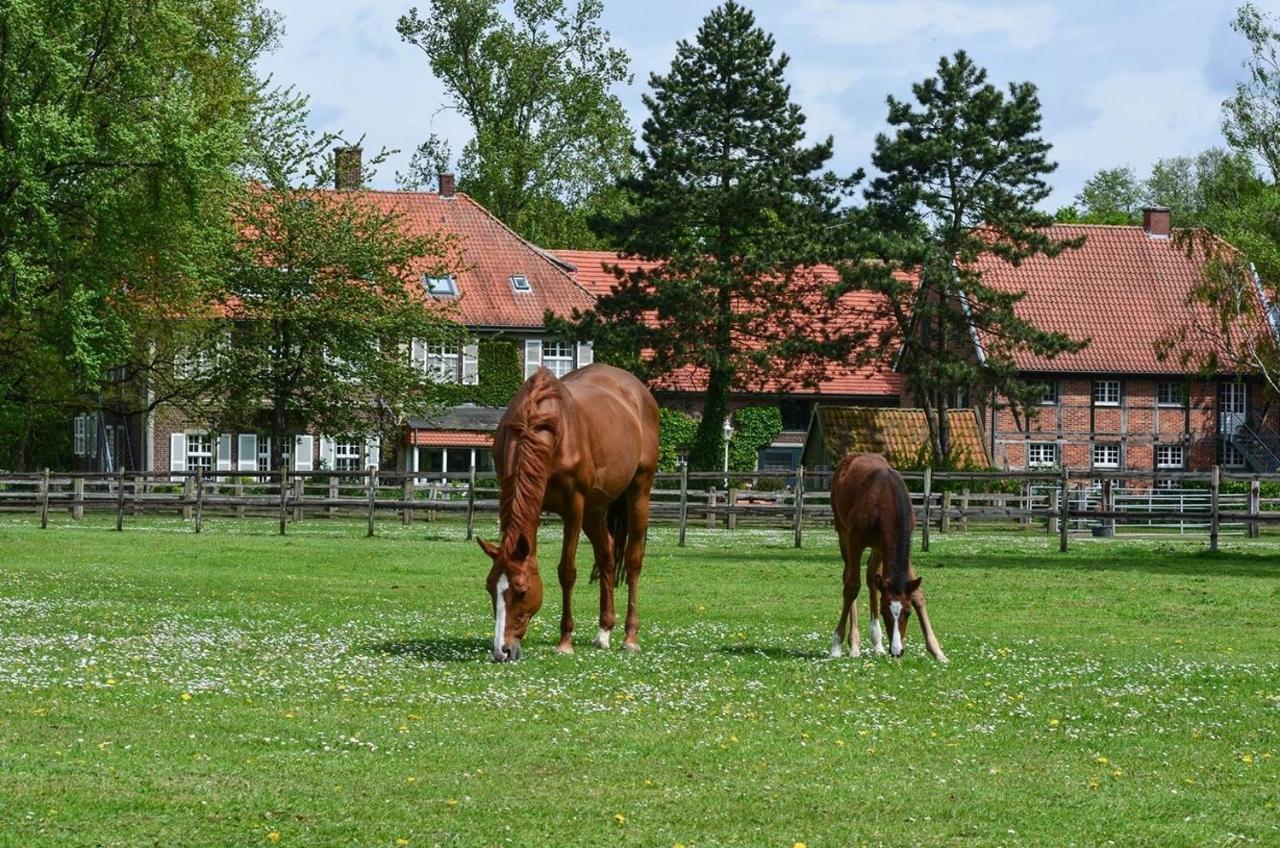 Ferienwohnungen Georgenbruch Everswinkel Exteriör bild
