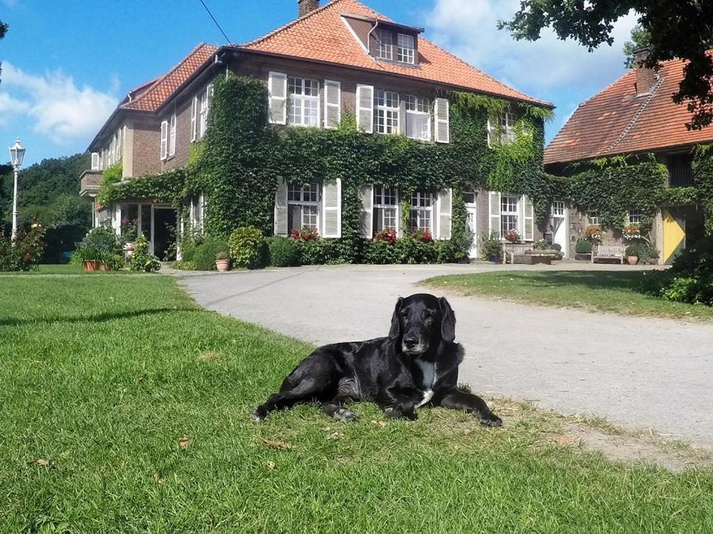Ferienwohnungen Georgenbruch Everswinkel Exteriör bild